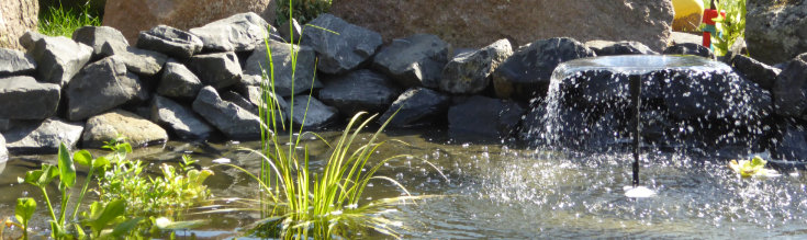 EPDM Teichfolie in einem Teich mit Wasser und Pflanzen