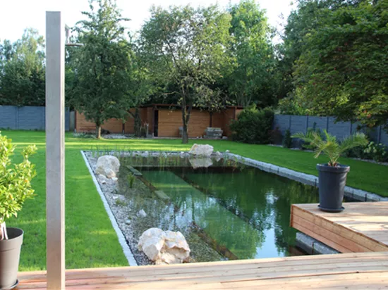Privater Pflanzenteich im Heimischen Garten Privater Pflanzenteich im Heimischen Garten