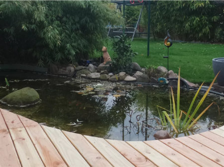 Blogbeitrag Terrassenteich anlegen Blogbeitrag Terrassenteich anlegen